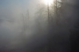 <B>Misty Morning</B> <BR><FONT SIZE=2>Yellowstone National Park - October, 2008</FONT>
