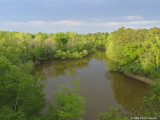 Neuse River at the overlook