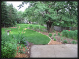 View from the patio Spring 2010
