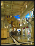 Forum shops at Caesars