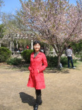 Ԩ̶cherryblossomfestival.JPG