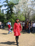 Ԩ̶cherryblossomfestival1.JPG