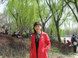 Ԩ̶cherryblossomfestival5.JPG