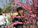 Ԩ̶cherryblossomfestival6.JPG