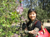 Ԩ̶cherry blossom8.JPG