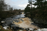 Low Force