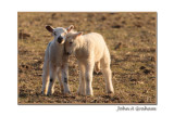 two cute