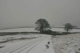 wintry shower