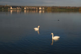 willen lake