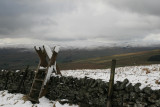 I like their stile