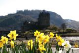 McDaff castle