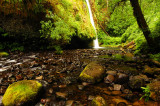 Drift Creek Falls, Study #5