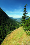 Columbia Gorge from Munra Point, Study 1