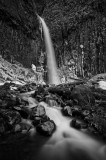 Dry Creek Falls, winter study