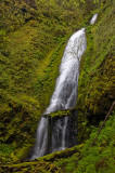 Sorenson Falls, Study 1