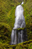 Sorenson Falls, Study 2