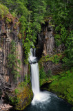 Toketee Falls, 2010 Study 1