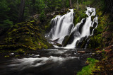 National Creek Falls, Study 1