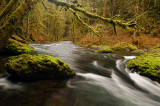 Abiqua Creek #2