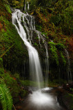 Seasonal waterfall near Wauna Falls #1