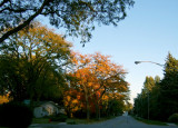 Fall Comes to Palatine