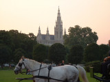 Vienna Rathaus (city hall)