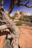 Zion National Park Utah-3505