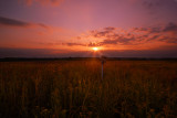 Sunset in the prairie