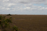 Everglades - General View