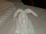 Elephant towel creation.JPG