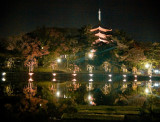 [Nara] Pagoda at Sarusawa-ike Pond