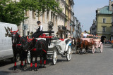 Horse drawn carriage
