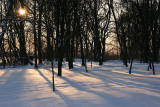 Winter landscape
