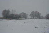 River bend in winter