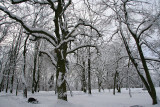 Frosty City Park