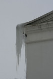 Icicles