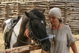 Spinner with horse - portrait