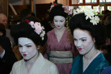 Maiko