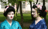 Maiko Portraits