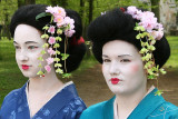 Maiko Portraits