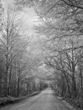Lonely Road