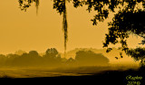 Private Airstrip across from Lake Martin,La.