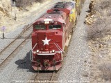 Chasing Miss Katy in New Mexico....