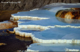 MHS-Terraces_1.jpg