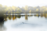 060930173001_.jpg