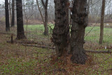 2008-05-04 at 14-10-16.jpg