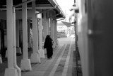 Solo trip back home