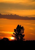 Sunset For Bruna