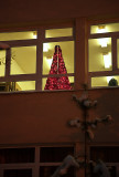 Red Xmas Tree