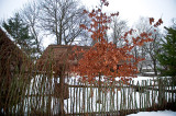 Rural Farm In Guciow